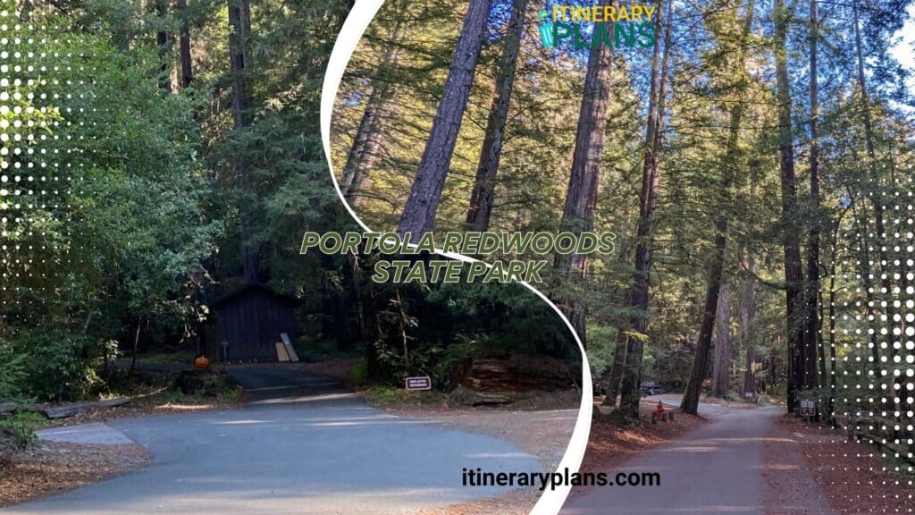 Portola Redwoods State Park