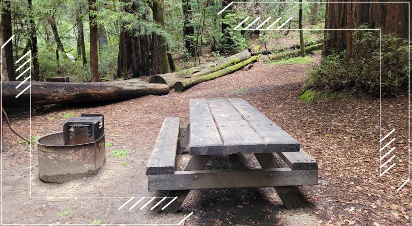 Portola Redwoods State Park Camping