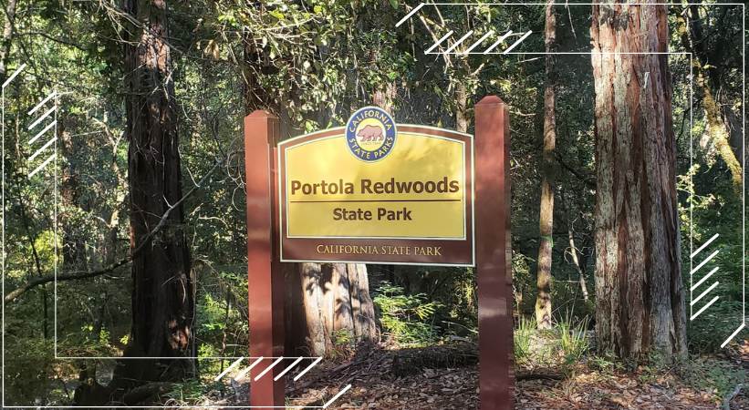 Portola Redwoods State Park image