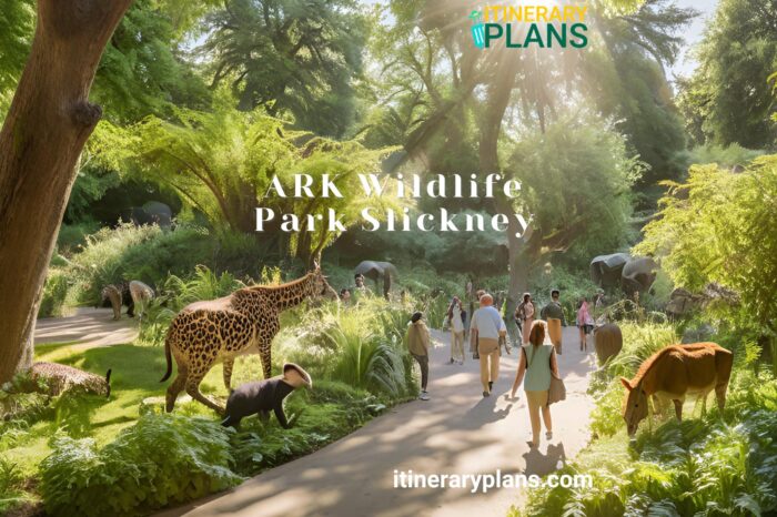 Explore ARK Wildlife & Dinosaur Park Stickney