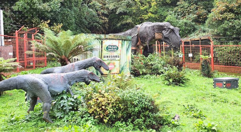 combe martin dinosaur and wildlife park