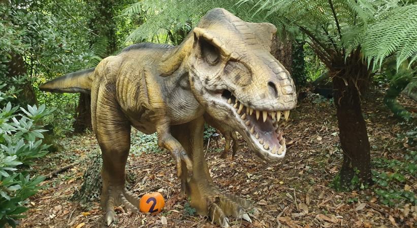 combe martin wildlife and dinosaur park ilfracombe