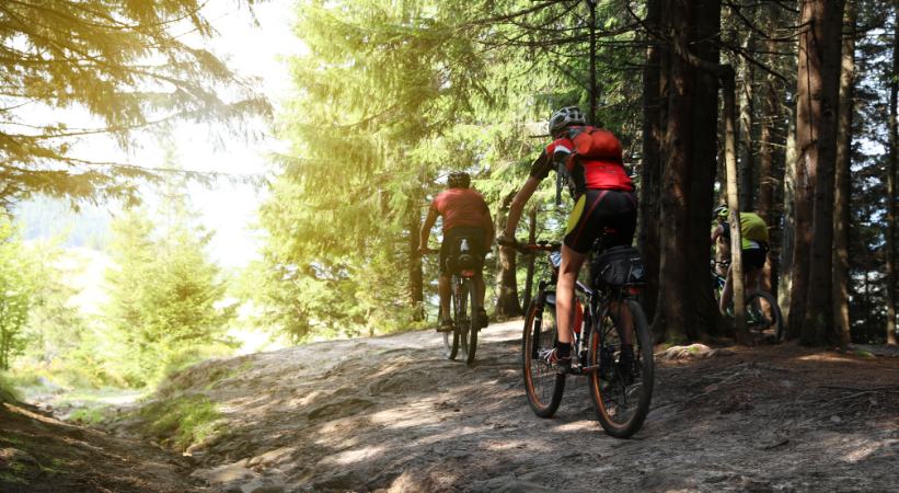 Cycle the Camel Trail