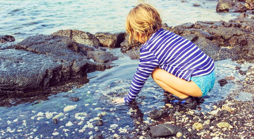 Explore the Rock Pools