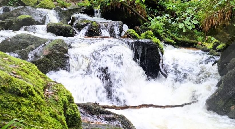 Golitha Falls