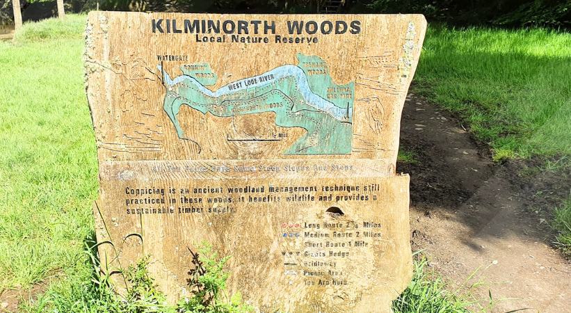 Kilminorth Woods