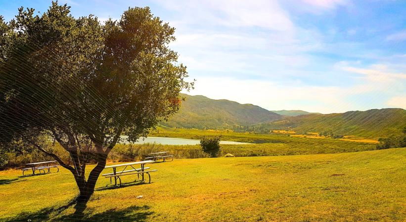 Lake Casitas (Trout)