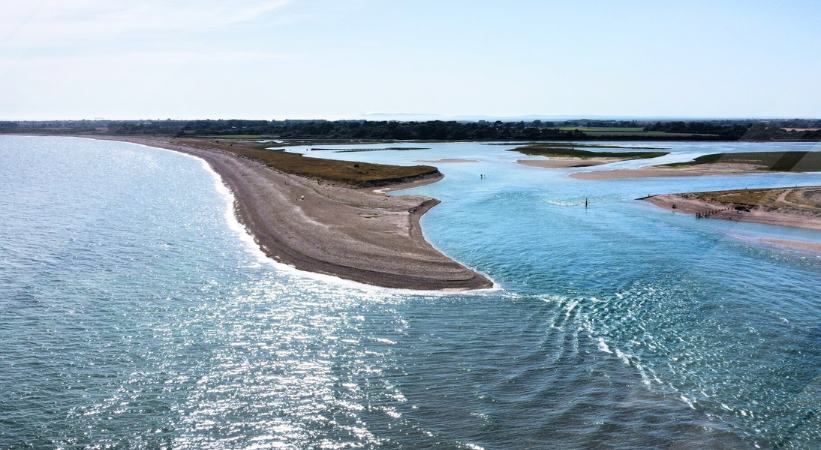 Pagham beach fishing