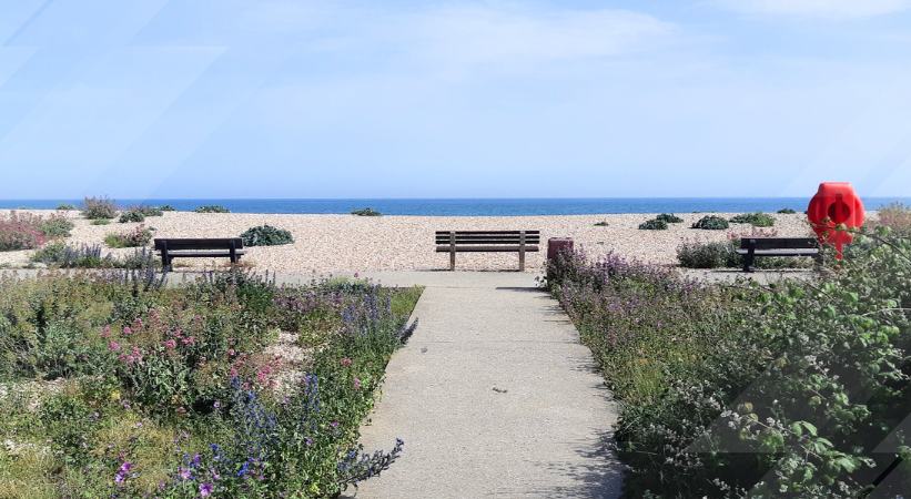 Pagham beach things to do