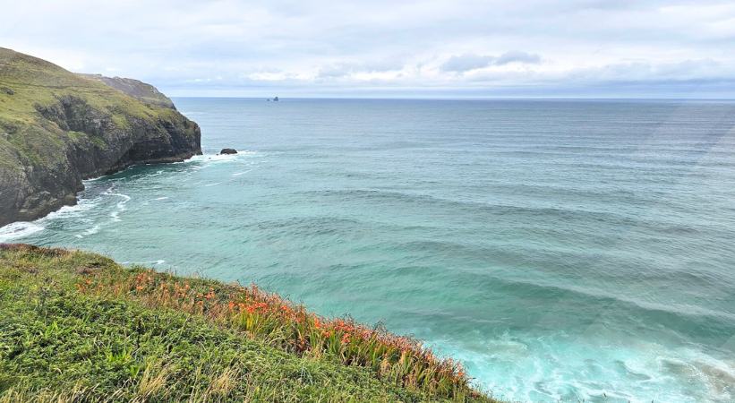 perranporth beach photo