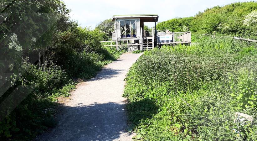 RSPB Pagham Harbour LNR