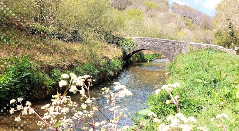 St Austell River