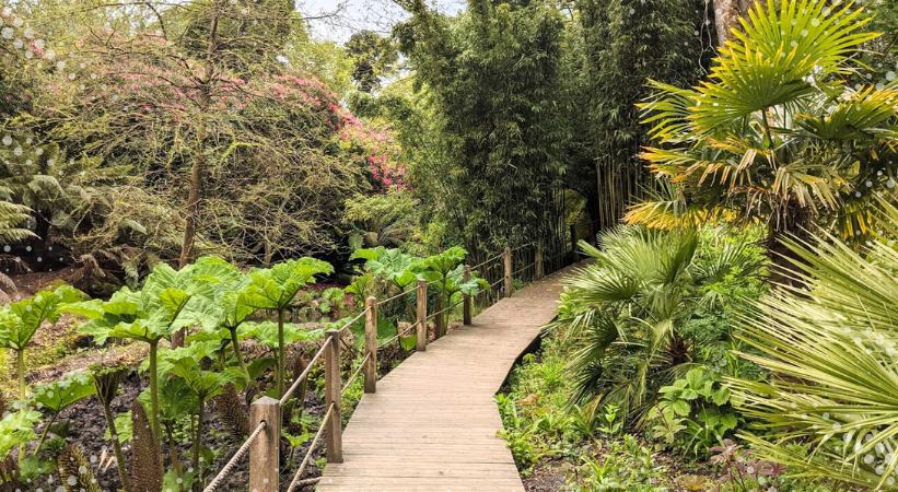 The Lost Gardens of Heligan