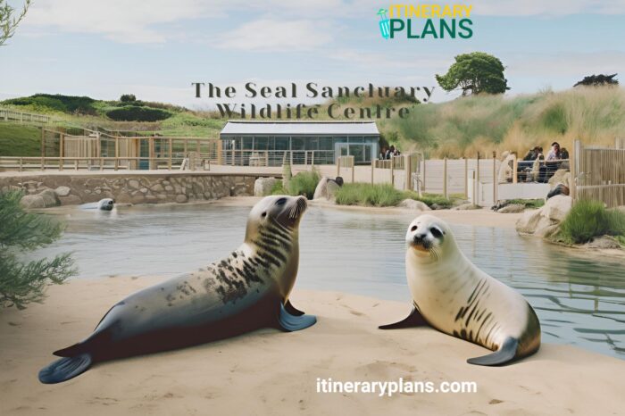 A Day at The Seal Sanctuary Wildlife Centre