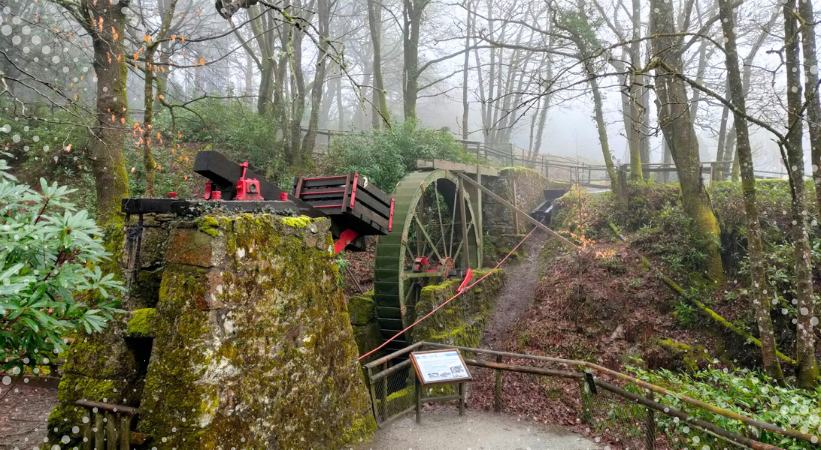 Wheal Martyn Clay Works