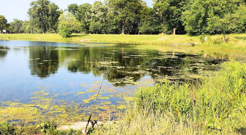 Axehead Lake Illinois Image