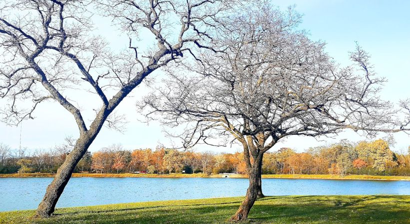 Axehead Lake Illinois photo