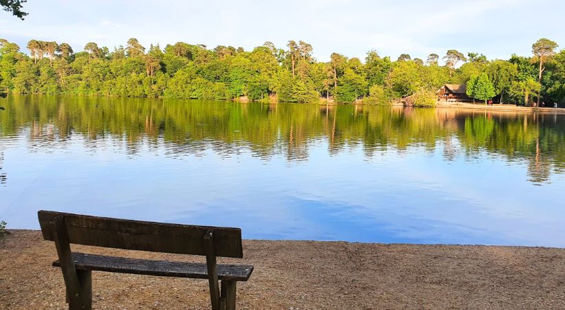 Black Park Country Park