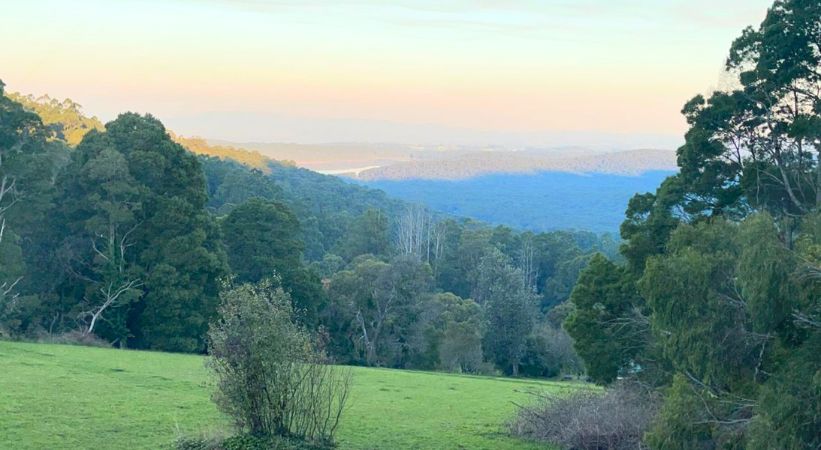 Dandenong Ranges