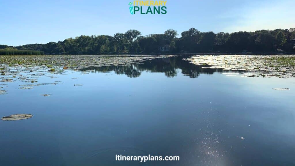 Fish Sweeney Lake mn