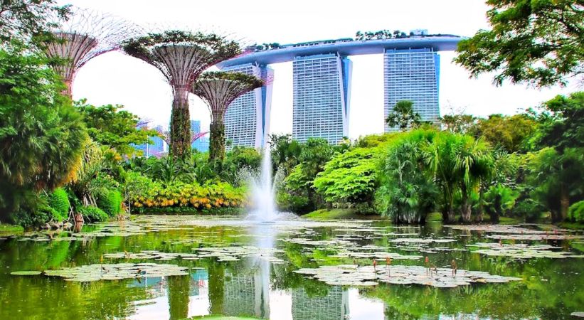 Gardens by the Bay