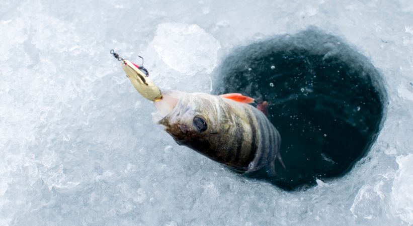 Ice Fishing