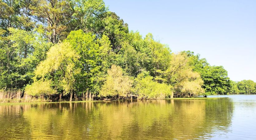 Lake weiss in georgia image