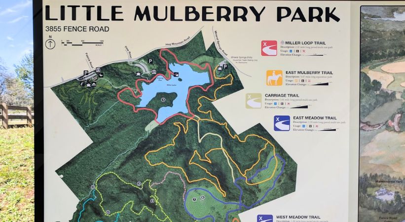 Little Mulberry Park