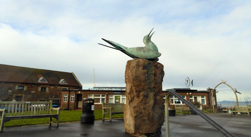 Scottish Seabird Centre