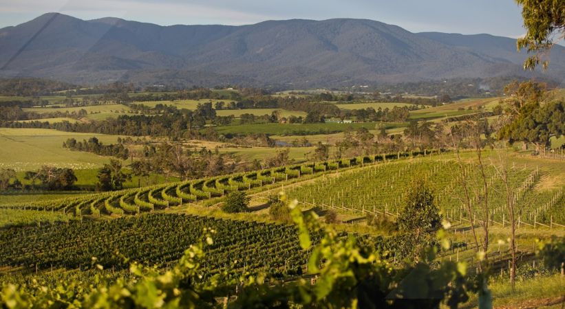 Yarra Valley