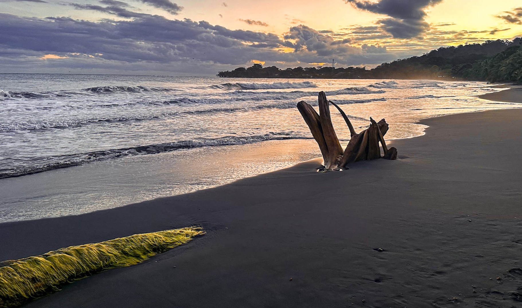 Playa Negra Puerto Viejo