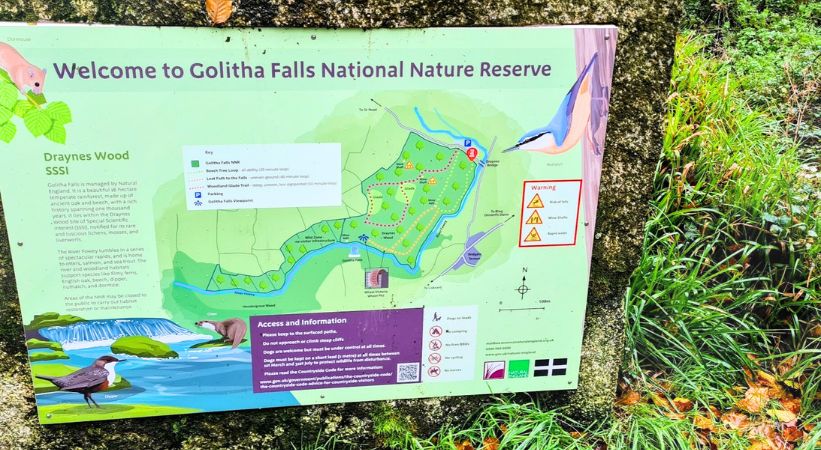 Golitha Falls Accessibility