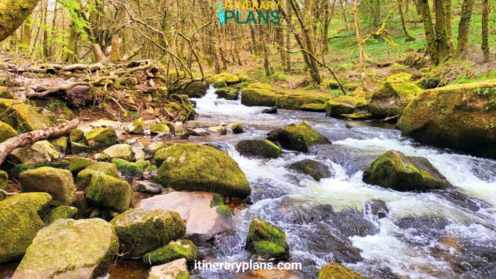 Golitha Falls Cornwall