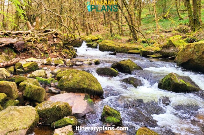 Golitha Falls Cornwall, UK