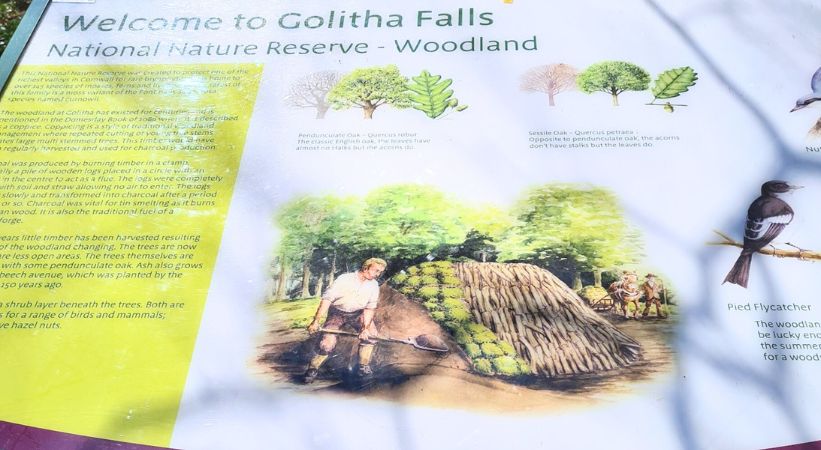 Golitha Falls Image