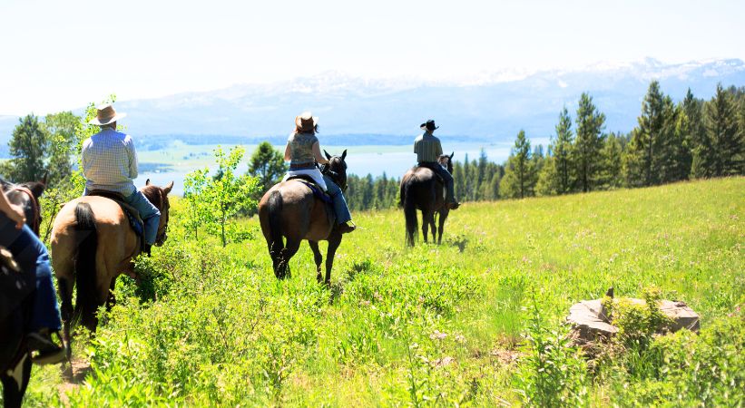 Horseback Riding