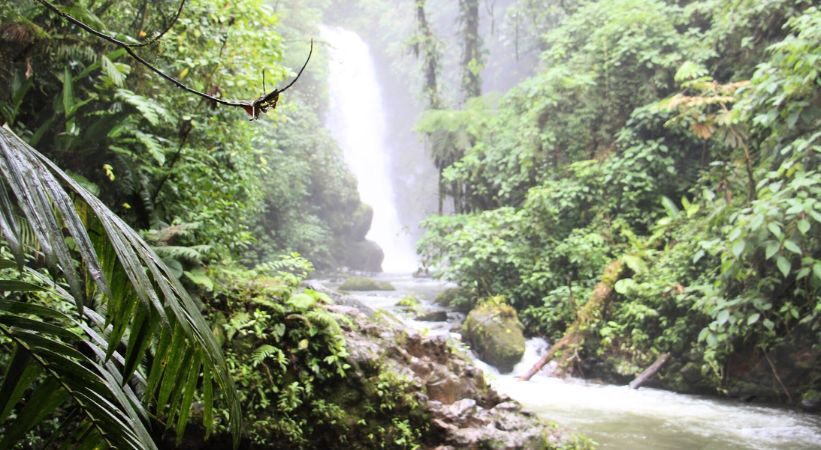 La Paz Waterfall Gardens