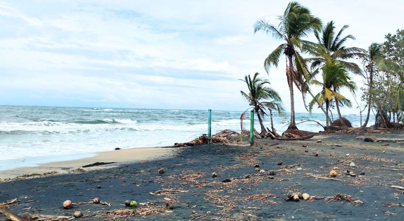 Manzanillo costa rica beach