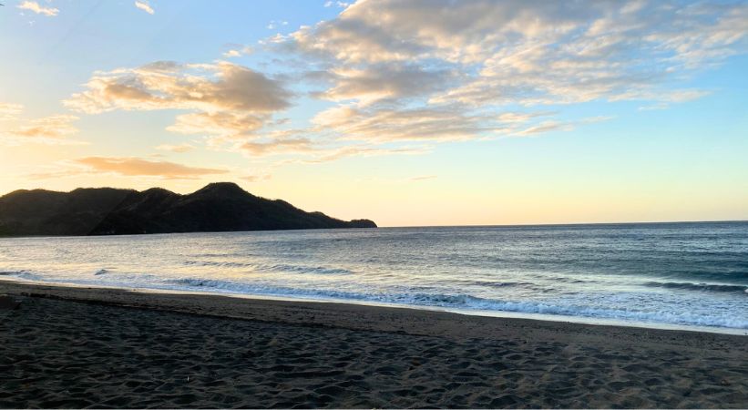 Matapalo Beach Costa Rica