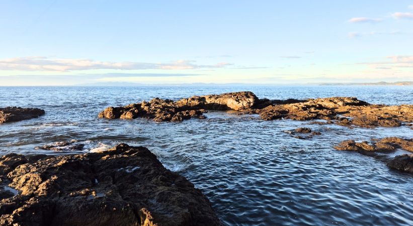 Matapalo Beach Photo