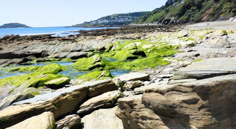 Plaidy Beach tide times