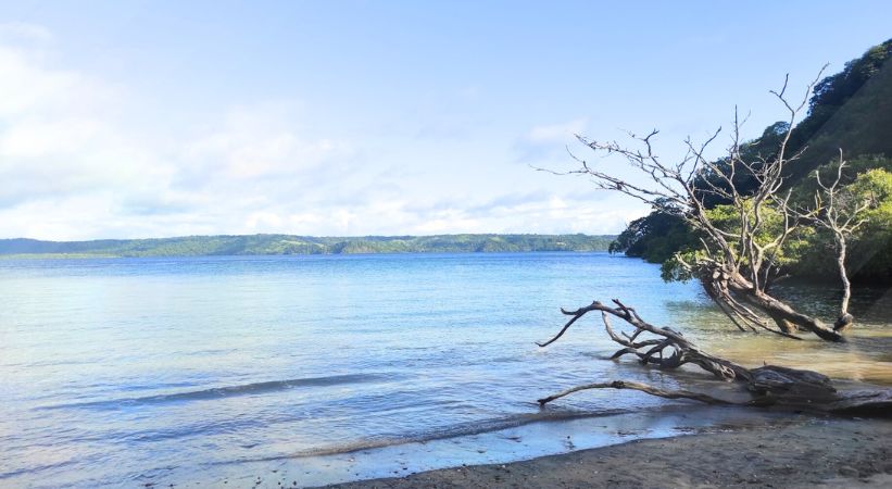 Playa Nacascolo Photo