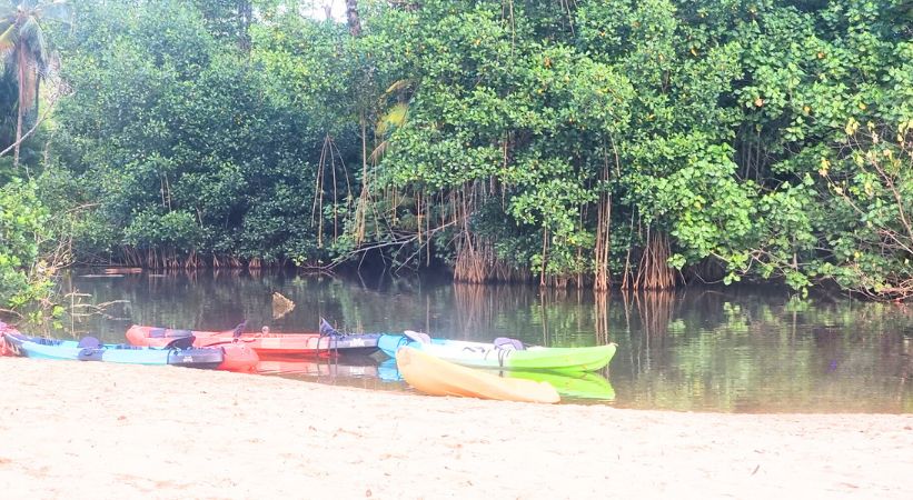 Playa Punta UVA Kayaking