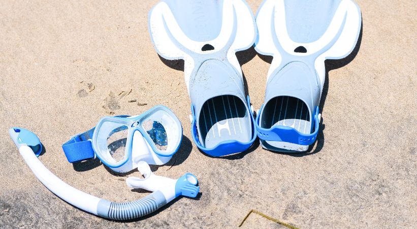 Snorkel Gear