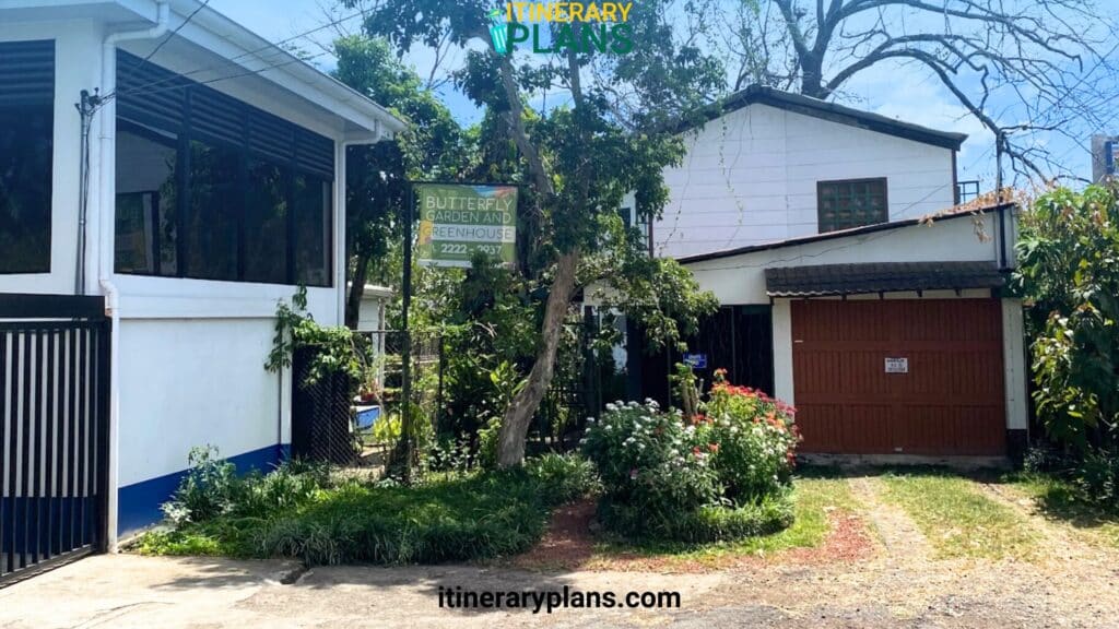 Spirogyra Butterfly Garden