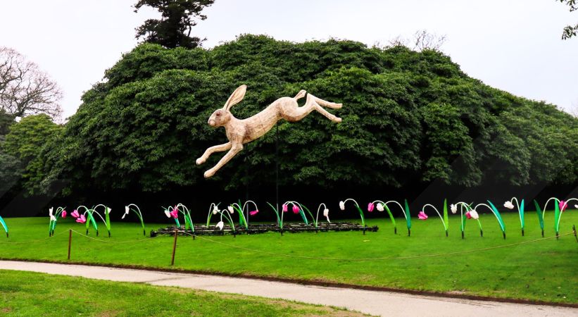 The Lost Gardens of Heligan Photo