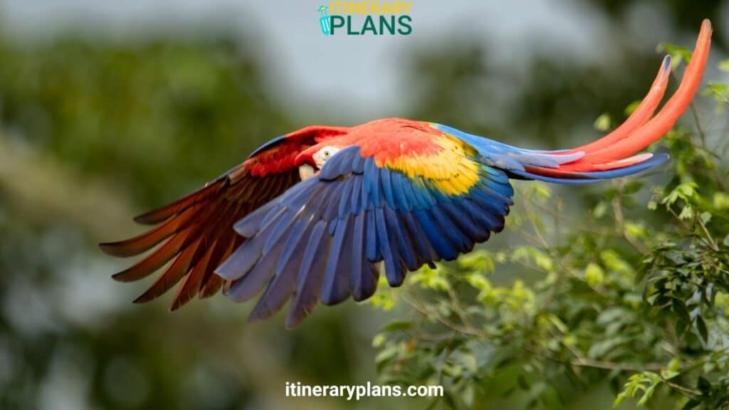 Things To do in Monteverde Costa Rica