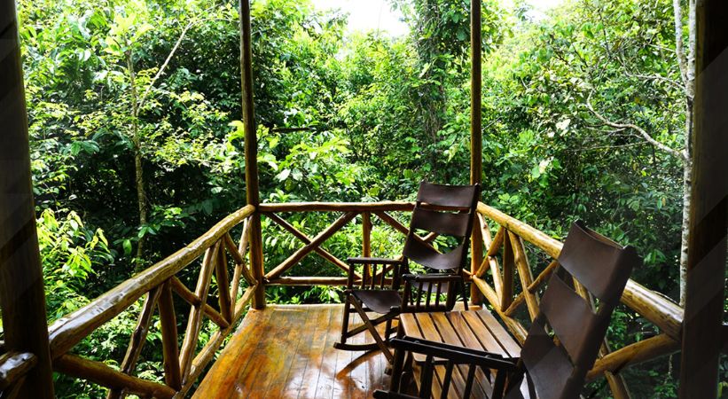 Tree Houses Hotel Costa Rica for Exclusive Jungle Views