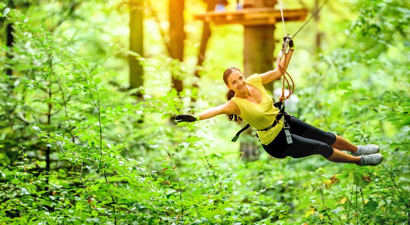 Zip Line Through the Forest