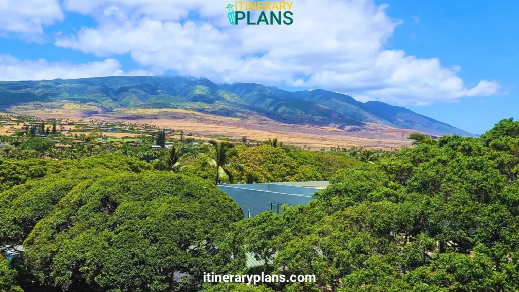 Attractions in Kaanapali